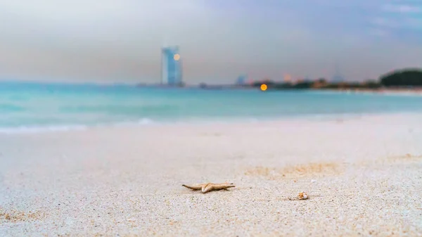 Krásná Tyrkysová Krajina Sufouh Beach Jeden Dubajských Skrytých Drahokamů Známý — Stock fotografie