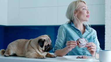 Köpek bir topuz ile alay sahibi