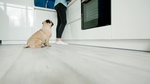 Vrouw huisdier de hond tijdens het koken — Stockvideo