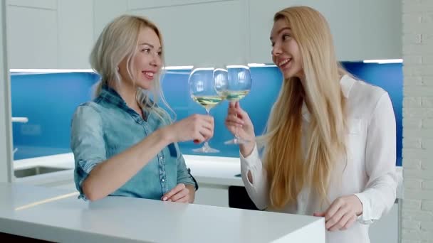 Duas mulheres bebem vinho na cozinha — Vídeo de Stock