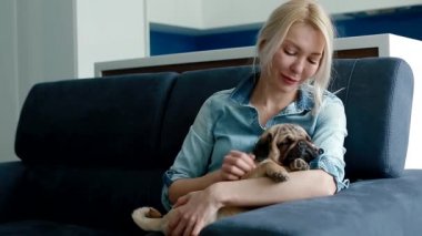 Sahiplerinin ellerinde uyuyan sevimli pug..