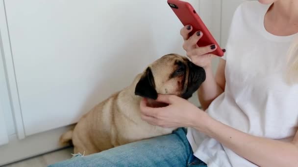 Donna animale domestico il cane durante l'utilizzo di smartphone in cucina — Video Stock