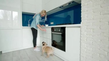 Yemek için dans pug