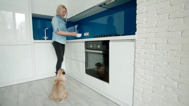 Woman pet the dog while cooking — Stock Video