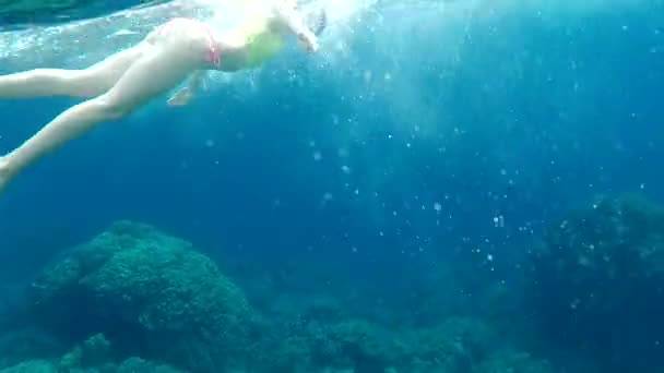 Joven mujer blanca haciendo snorkel — Vídeo de stock