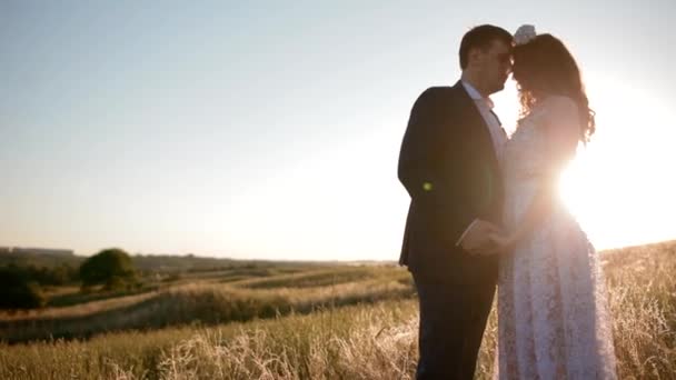 Kaukasische Braut und Bräutigam posiert auf dem Feld — Stockvideo
