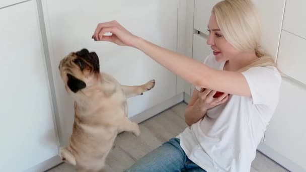 Vrouw huisdier de hond tijdens het gebruik van smartphone op de keuken — Stockvideo