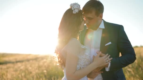 Caucasian bride and groom posing in the field — Stock Video