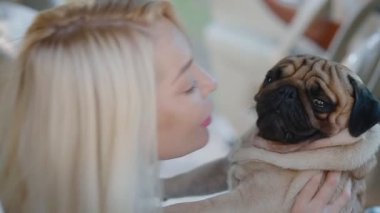Kadının üzerinde eller arabada oturan pug