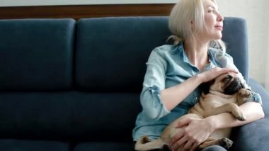 Sahiplerinin ellerinde uyuyan sevimli pug..