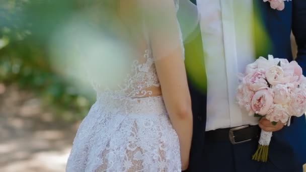 Kaukasische bruid en bruidegom poseren — Stockvideo