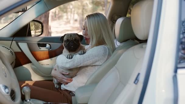 Pug assis sur les mains des femmes dans la voiture — Video