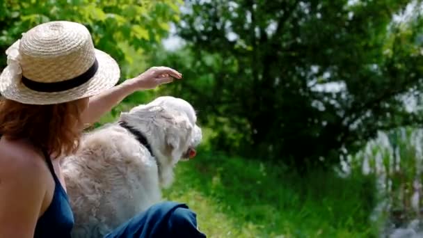 Jovem mulher pet seu cão — Vídeo de Stock