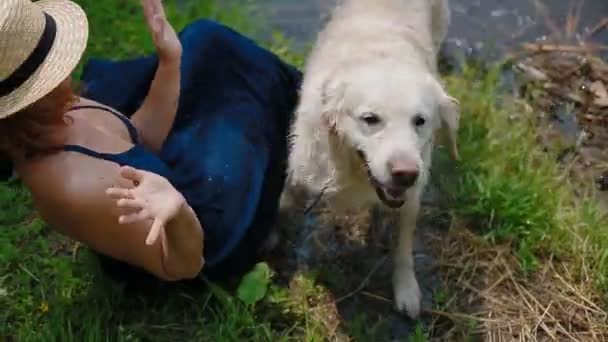 若い女性は彼女の犬をペット — ストック動画