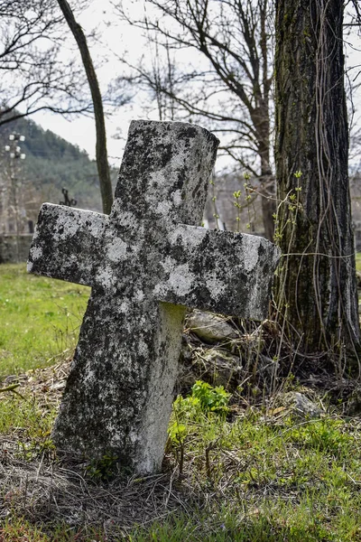 An ancient stone grave cross stands on the ground of an old Christian cemetery. Leaned to the side. Carved from a single piece of limestone. Covered with moss. Close-up.