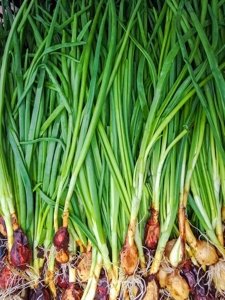 Green onions at fresh produce section in grocery store. Heap of green onions as background, spring pattern. Top view. Close-up. Selective focus.