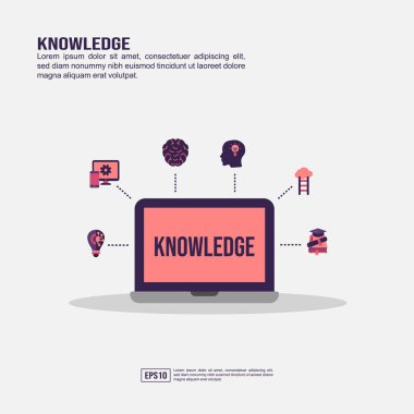 Sunum, promosyon, sosyal medya pazarlama ve daha fazlası için bilgi kavramı. Düz simgeli Minimalist Bilgi infografik