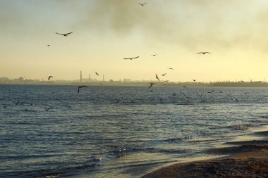 Sahilde altın şafak