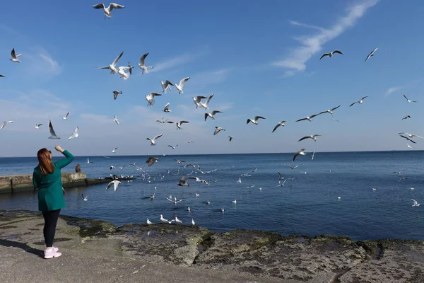 Girl Beach Feeds Seagulls — Stock Photo, Image