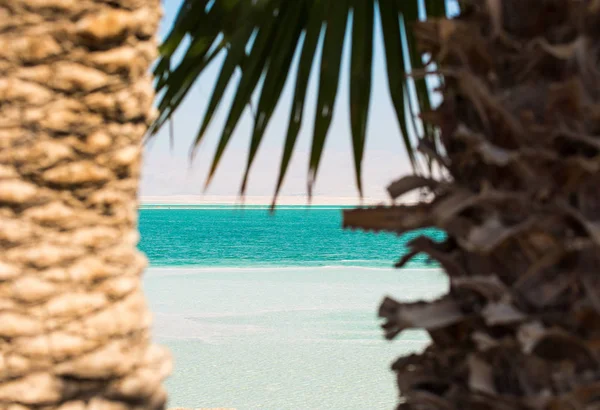Hermosa Costa Fotos Del Mar Muerto Israel — Foto de Stock