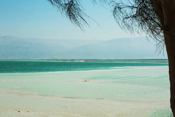 Beautiful Photo Coast Dead Sea Israel — Stock Photo, Image