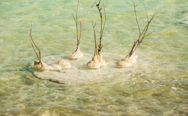 Vackra Fotokusten Döda Havet Israel — Stockfoto