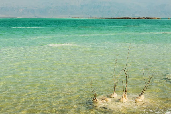 Красивые Фото Побережья Мертвого Моря Израиль — стоковое фото