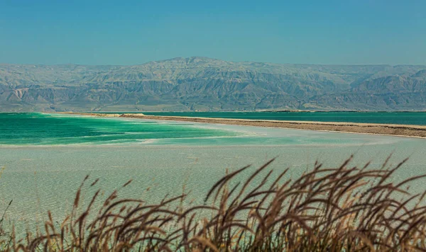 Ölü Deniz Güzel Kıyıları Srail — Stok fotoğraf
