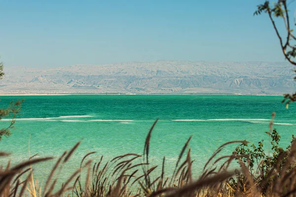 Vackra Fotokusten Döda Havet Israel — Stockfoto