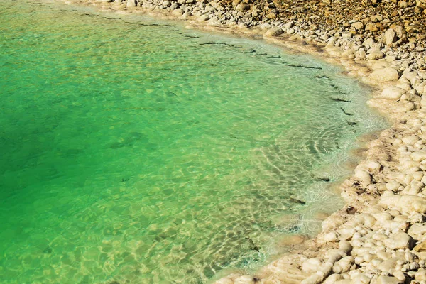 Vackra Fotokusten Döda Havet Israel — Stockfoto