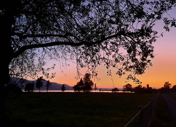 Wigilię w magicznym wieczorem zachód słońca w czerwonym jeziorze Zuryskim z bezchmurne niebo. sylwetki drzew, Branche, liście, krzewy, pasmo górskie obok połyskania jeziora. — Zdjęcie stockowe