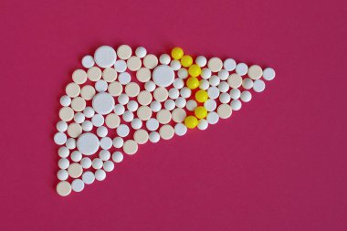 Haplar kırmızı renk üzerinde karaciğerde oluşturmak için