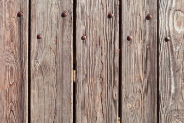 tasarım ve dekorasyon için doku ahşap, arka plan.