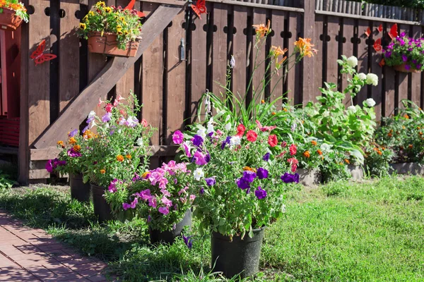 Ahşap rustik çit üzerinde çiçek ve bitkilerin kapları asmak