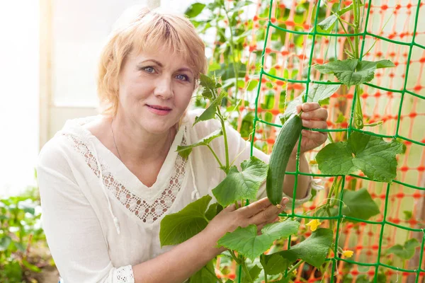 Bahçedeki kadın bahçedeki meyveleri topluyor ve işliyor..