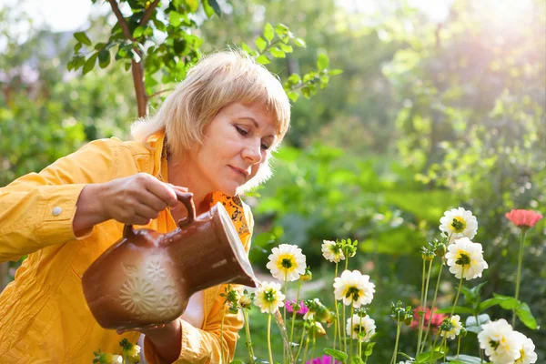 Mujer en el jardín recoge la cosecha de frutas de otoño . —  Fotos de Stock