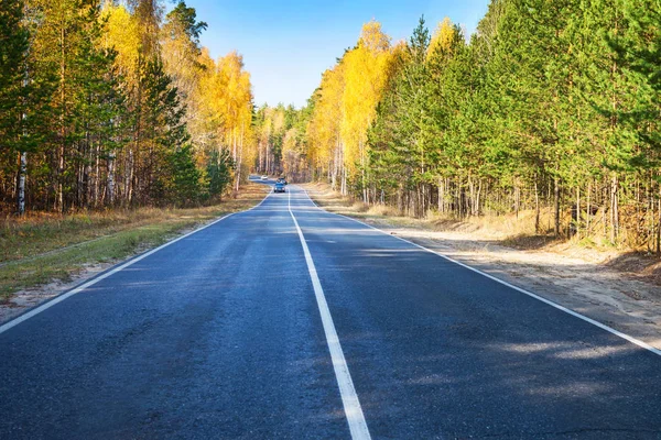 The road going through the autumn forest in the Park — Stock Photo, Image