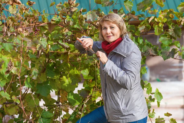 Sonbahar bahçesinde bir kadın çöpleri toplar ve temizler..