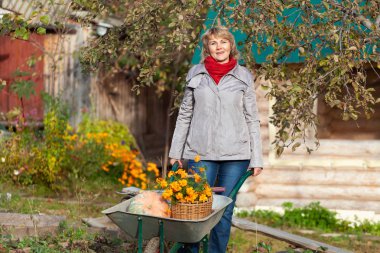 Sonbaharda kadın bahçede çalışıyor ve yaprakları temizliyor..