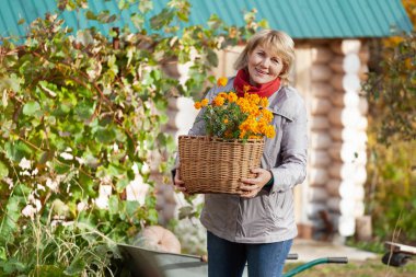Sonbaharda kadın bahçede çalışıyor ve yaprakları temizliyor..
