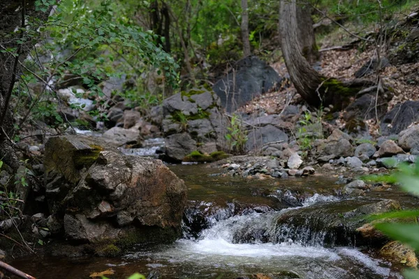 Nature of Altai. Waterfall in the forest. Jets and splashes of water. Big stones