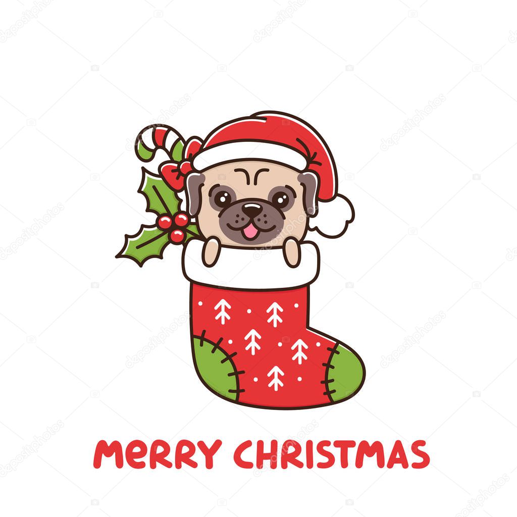 Cute dog breed pug as a gift in Christmas sock with candy and mistletoe. It can be used for sticker, patch, phone case, poster, t-shirt, mug and other design.