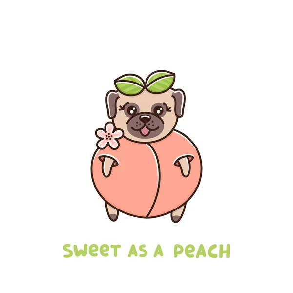 Cute Câine Rasa Pug Piersică Citat Dulce Piersică Acesta Poate — Vector de stoc