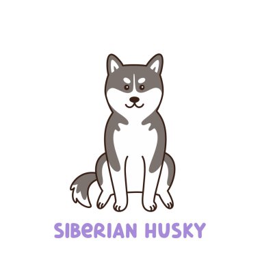 Sibirya husky köpek. Bu etiket, yama, telefon kılıfı, poster, t-shirt, kupa ve diğer tasarım için kullanılabilir.