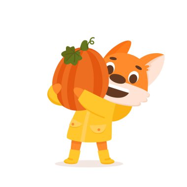 Sarı yağmurluklu, balkabaklı, sevimli tilki çiftçisi. Sonbahar sezonu partisi, hasat festivali ya da Şükran Günü için güzel karakter tasarımı. Beyaz arkaplanda izole edilmiş renkli vektör illüstrasyonu. 