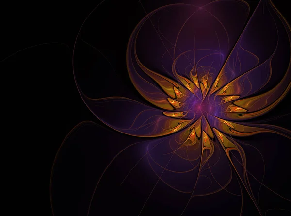 美丽的分形花卉艺术黑色背景 计算机生成的图形 艺术项目的花卉分形背景 — 图库照片