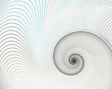Soyut Fraktal sarmal. Kabuk arka plan, sarmal simetri Fibonacci kabuk bölümü. Çapraz yarısı altın oran yapısı, büyümesini yakın Pompilius nautilus