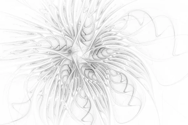 フラクタルの美しい花 生成したコンピュータ グラフィックス 抽象的な花フラクタル アート プロジェクトの背景 — ストック写真