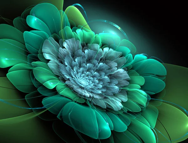 Sihirli gece fantezisi. Egzotik fraktal arka plan, sarmal çiçek dokulu yaprakları ile parlayan çekirdek ile soyut. Posterler, tişörtler, yaratıcı grafik tasarım. Psychedelic dijital sanat. 3D render.