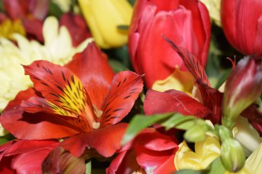 Farklı çiçeklerden parlak bir buket.